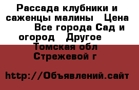 Рассада клубники и саженцы малины › Цена ­ 10 - Все города Сад и огород » Другое   . Томская обл.,Стрежевой г.